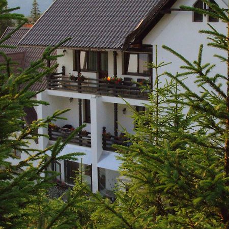 Hotel Cetina Ranca Exterior foto